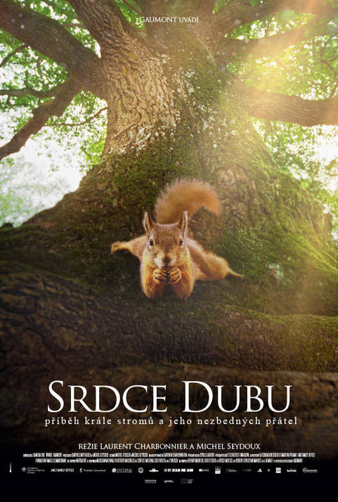 SRDCE DUBU
